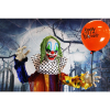 Haunted Hill Farm HHCLOWN-8FLSA - 8